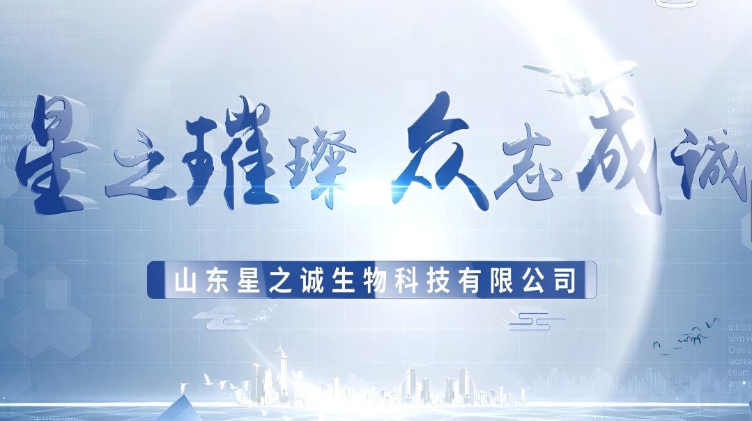 山东星之城